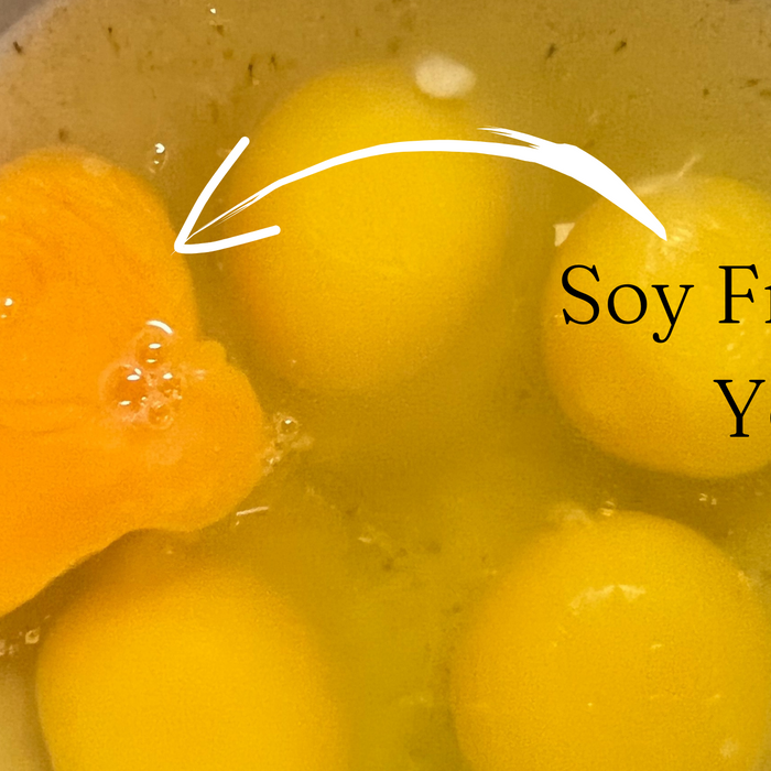 Soy Free Eggs in Fort Worth