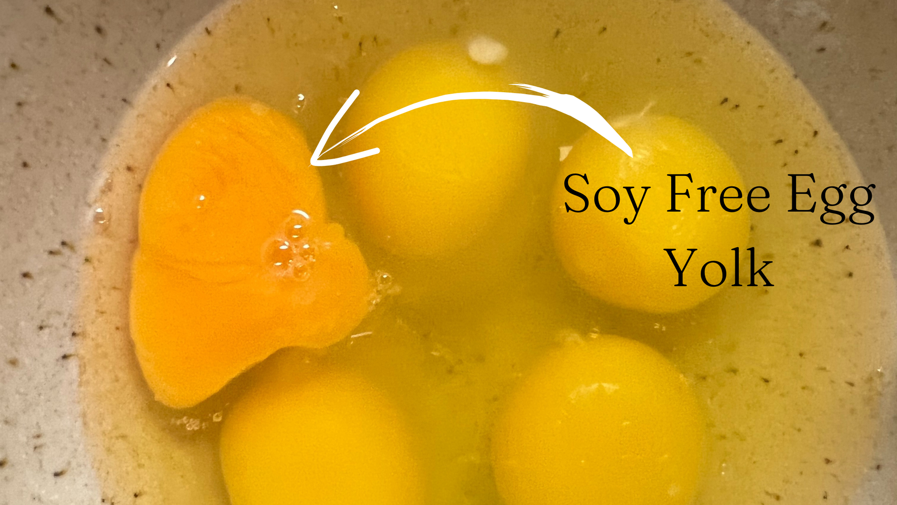 Soy Free Eggs in Fort Worth