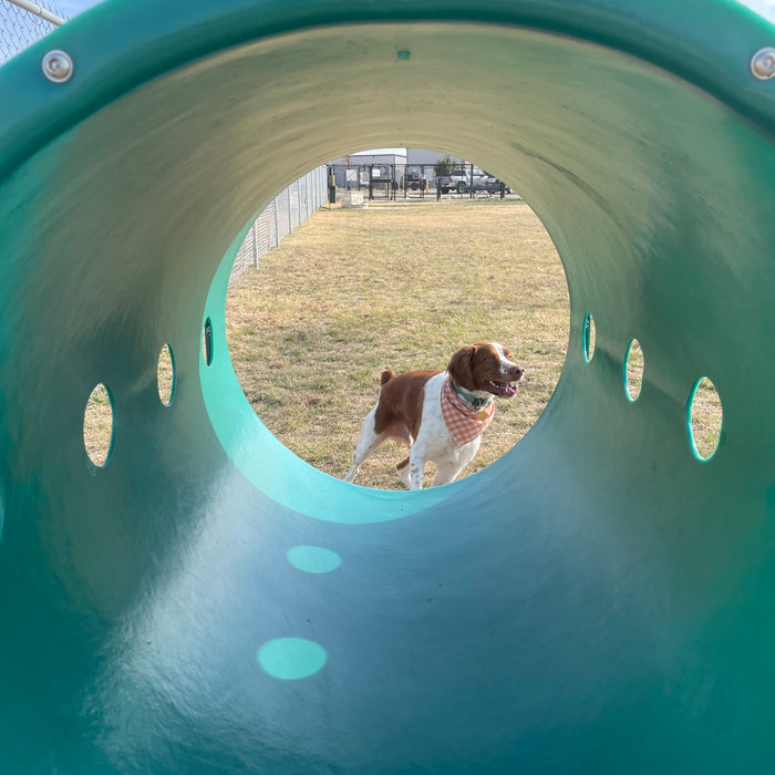 Best Dog Parks in North Richland Hills, TX | A Local's Guide