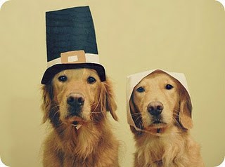 Thanksgiving Pet Safety Tips