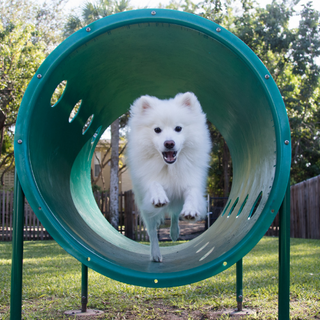Crowley Dog Parks