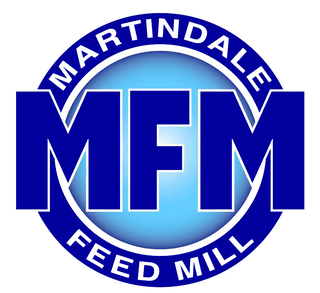 MFM