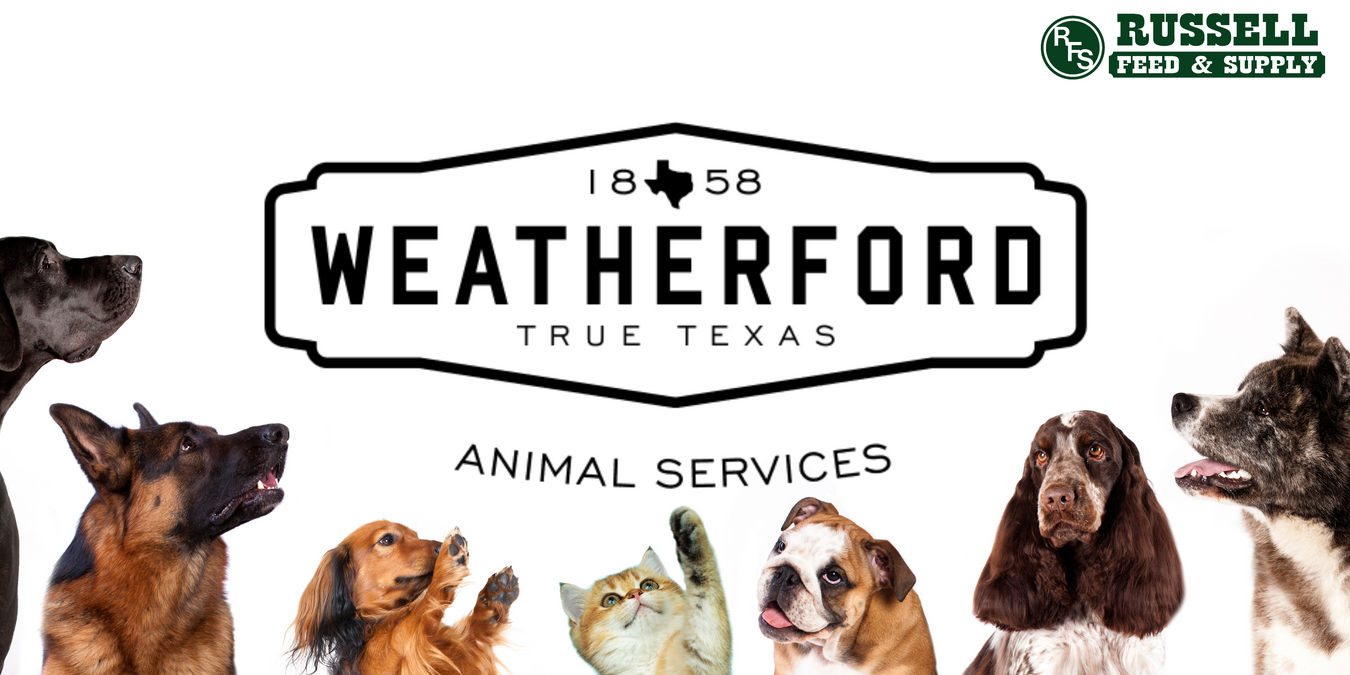 Weatherford Animal Shelter Wishlist