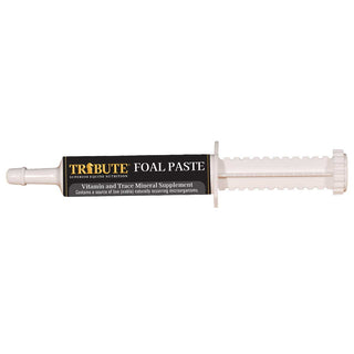 Tribute Equine Nutrition Advance Paste Digestive & Nutritional Horse Supplement, 1oz tube