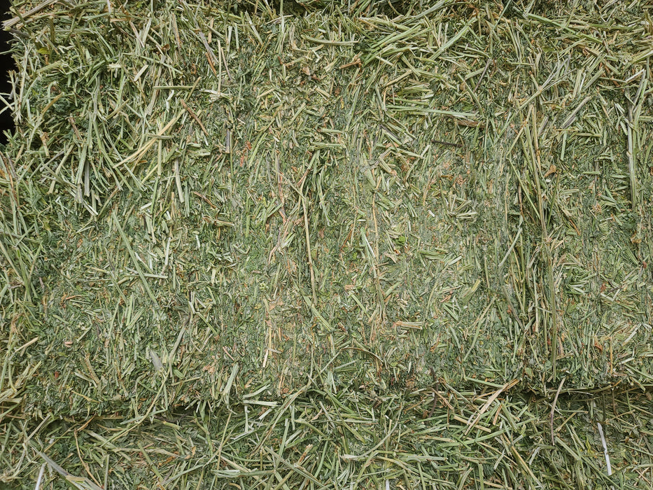 Alfalfa Bale - 2 String