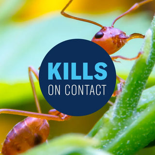 BIO-ADVANCED FIRE ANT CONTROL DUST 16oz
