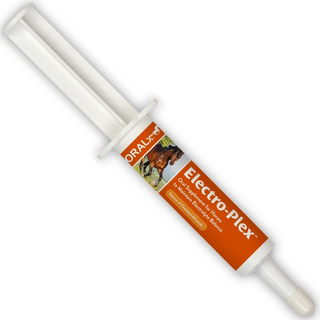 Oralx Electro-Plex Electrolyte Paste for Horses 1.2oz