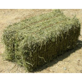 bermuda-hay-bale-3-wire