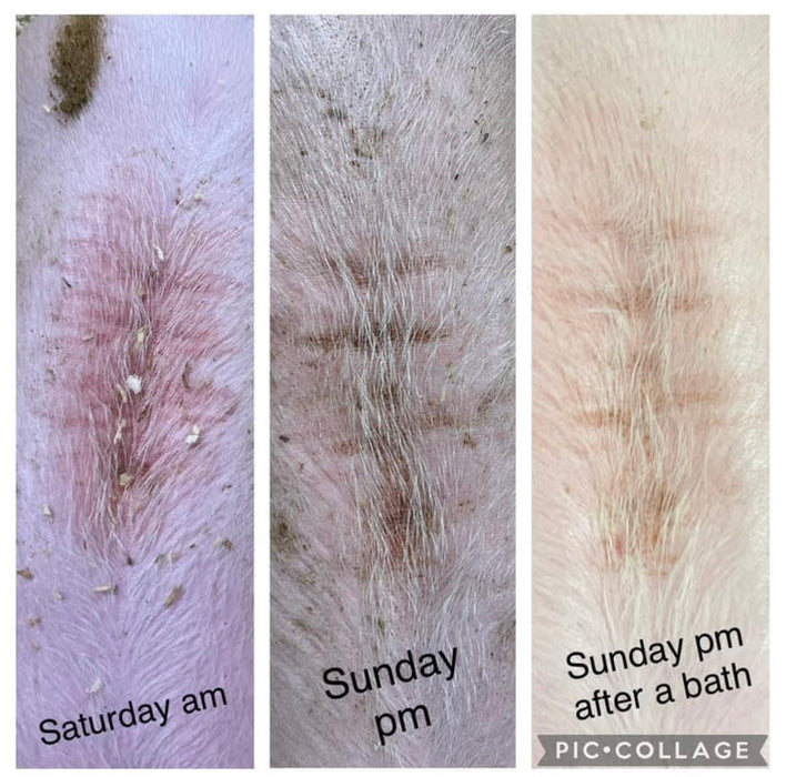 Vet Zone Activating Wound Ointment 10oz