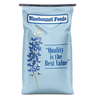 bluebonnet-alpha-nibblets