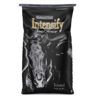 intensify-senior-therapy