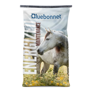 Bluebonnet Energized Maintenance Horse Feed, 50LB