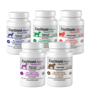 Capshield Maxx For Dogs