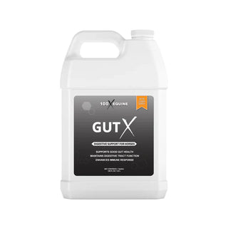 100X Equine GutX, 1gal