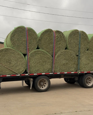 Coastal Hay Round Bale