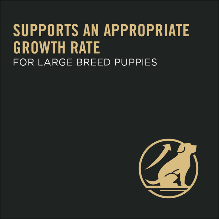 Pro Plan Puppy Large Breed