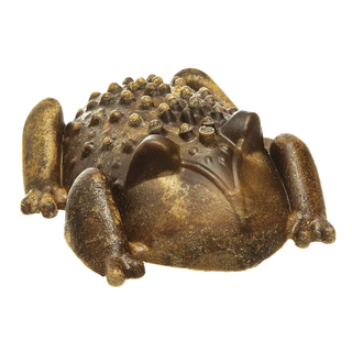 red-barn-chew-a-bulls-horned-toad