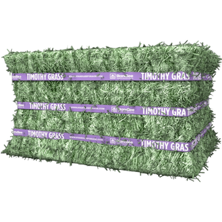 Standlee Compressed Timothy Bale 50lb