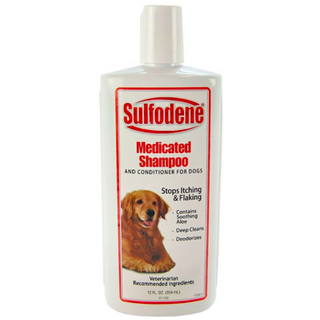Sulfodene Medicated Shampoo 12oz