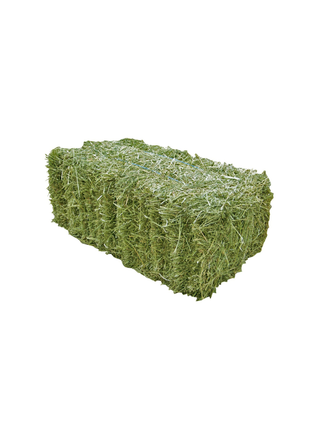 Timothy Hay 3 String Bale