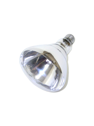 Clear Heatlamp Bulb 250W