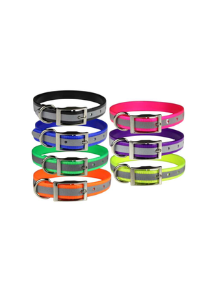 Reflective Sunglo Dog Collar