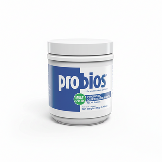Probios Dispersible Powder Probiotic Horse Supplement, 240g