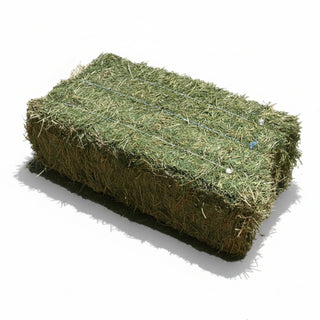 Alfalfa Bale - 2 String