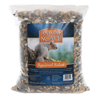 Birds of a Feather Squirrel Select 20lb