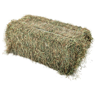 Bermuda Hay Bale 2 - String
