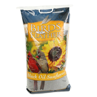 Black Oil Sunflower Seeds