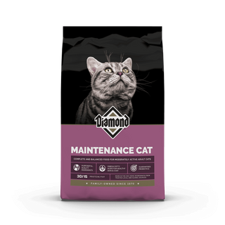 Diamond Maintenance Cat Dry Cat Food