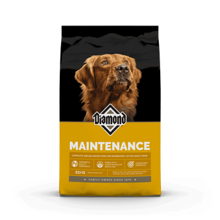 Diamond Maintenance Dry Dog Food