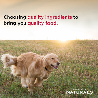 DIAMOND NATURALS SKIN & COAT ALL LIFE STAGES DOG SALMON & POTATO FORMULA
