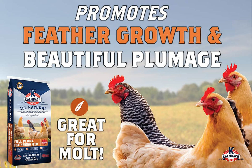 Kalmbach Full Plume Feathering Feed 20% Pellet 50lb