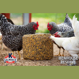 Henhouse Reserve Supplement Poultry Block