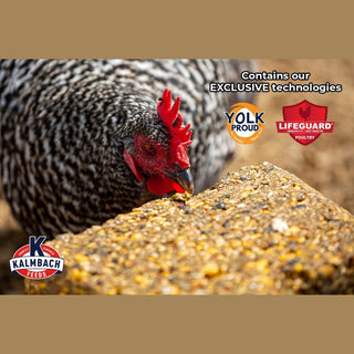 Henhouse Reserve Supplement Poultry Block