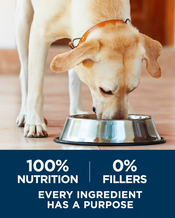 Purina one 2024 dog food 31.1