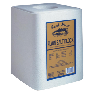 White Livestock Salt Block 50lb