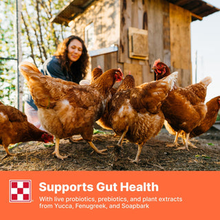 Purina Farm to Flock‚ 18% Layer Hen Food 50LB