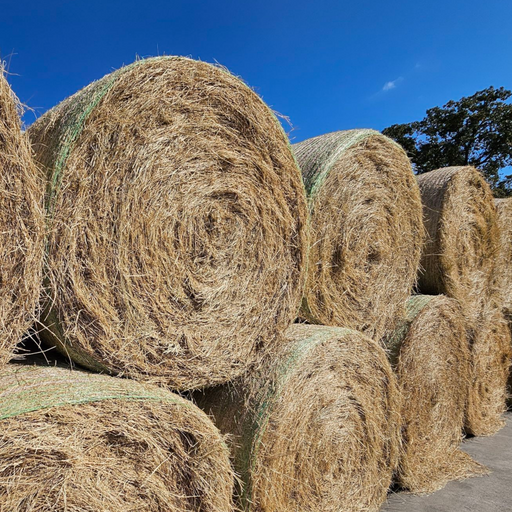 Coastal Hay Round Bale