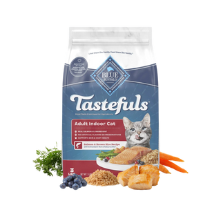 Blue Buffalo Cat Indoor Health Salmon  7lb