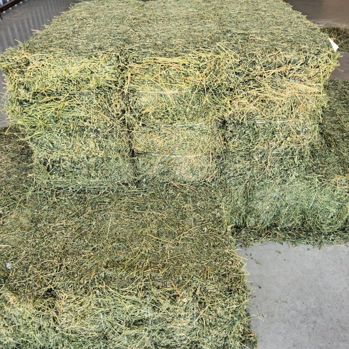 Alfalfa Bale - 2 String