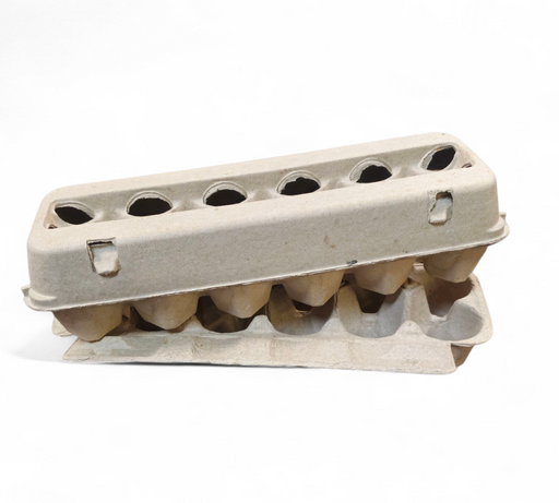 Egg Carton Cardboard
