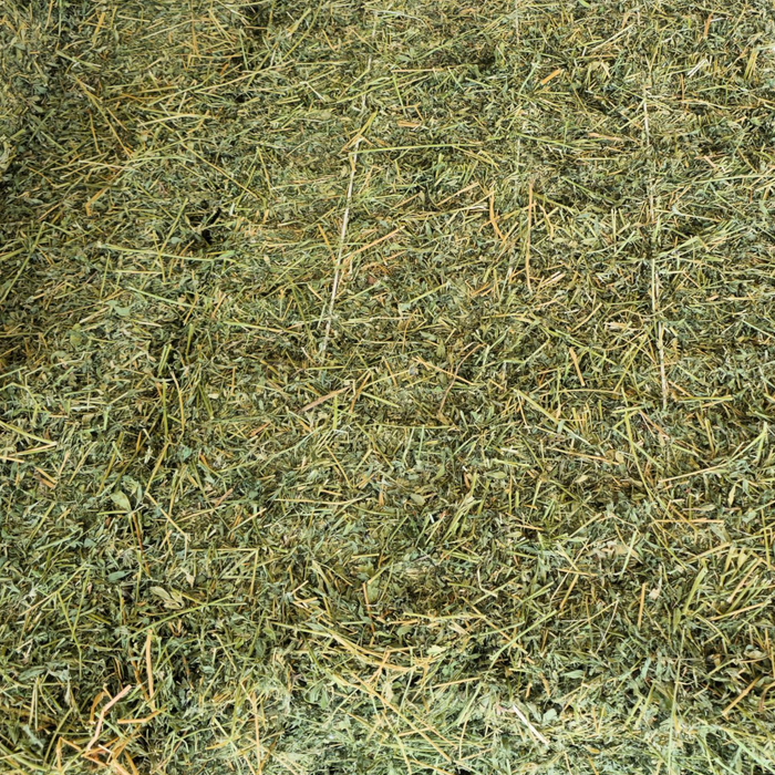 Alfalfa Bale - 2 String