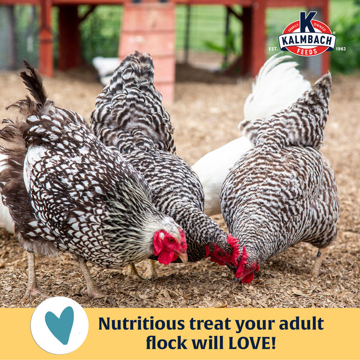 Henhouse Reserve Love Bug­™ Mealworm Treats 30oz or 5lb Bag