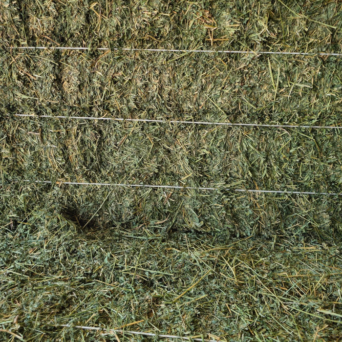 Alfalfa Bale - 3 String