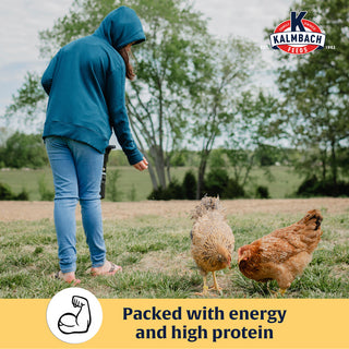 Henhouse Reserve Love Bug¬≠‚Ñ¢ Mealworm Treats 30oz or 5lb Bag