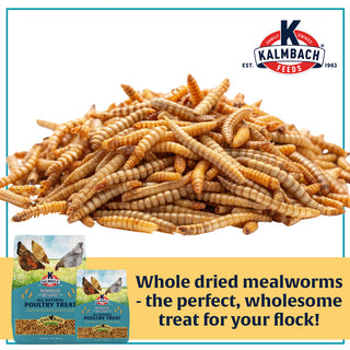 Henhouse Reserve Love Bug¬≠‚Ñ¢ Mealworm Treats 30oz or 5lb Bag