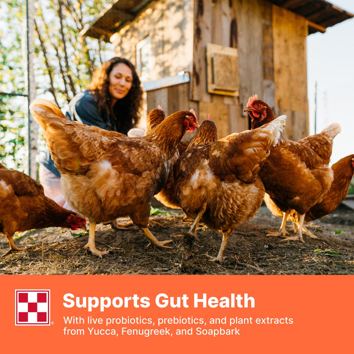 Purina® Farm to Flock™ 18% Layer Hen Food 50LB